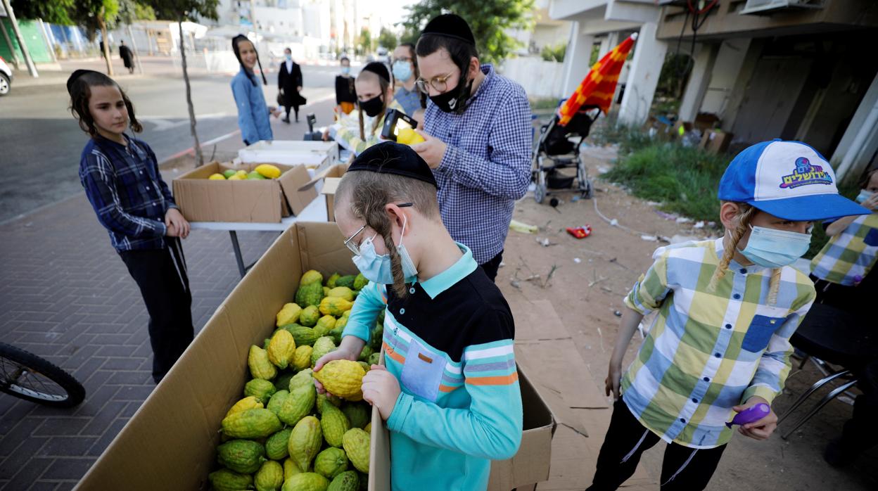 Niños judíos, con los citricos que se usan en la fiesta del Sucot