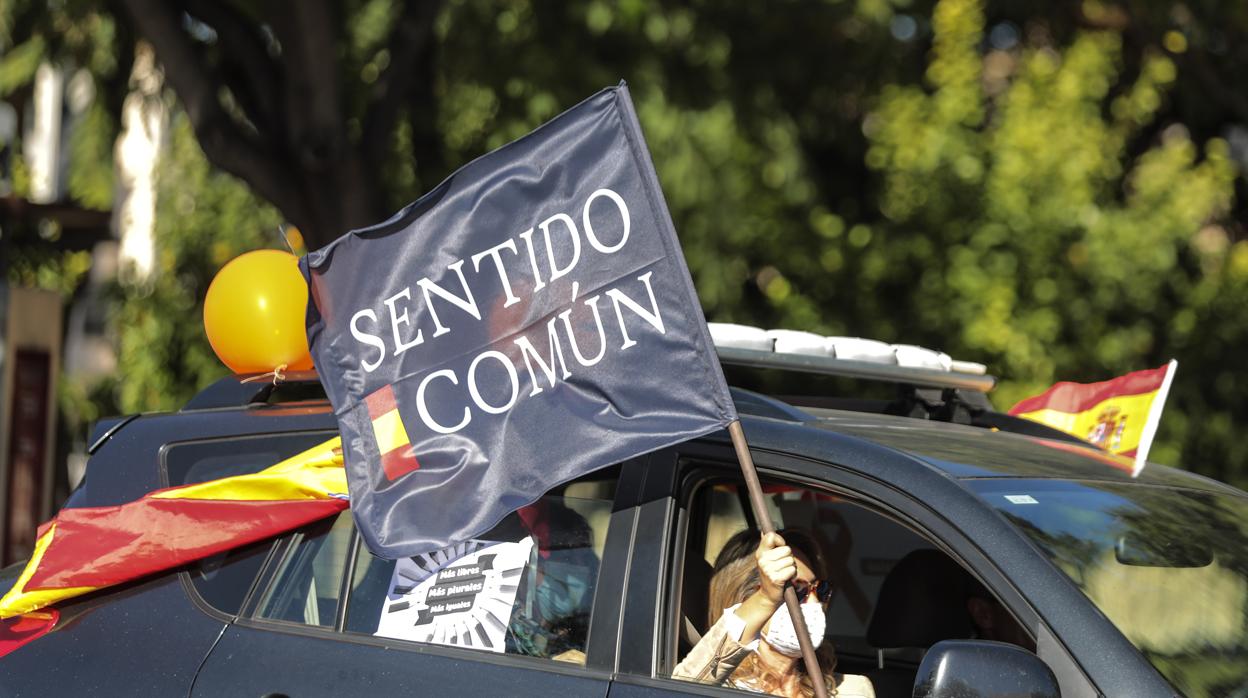 Manifestación contra la «ley Celaá» en Sevilla