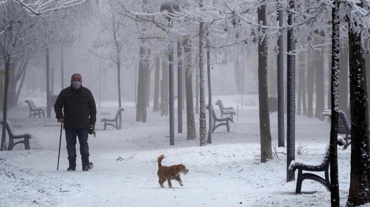 Un vecino pasea a su perro por un parque nevado este jueves en Valladolid