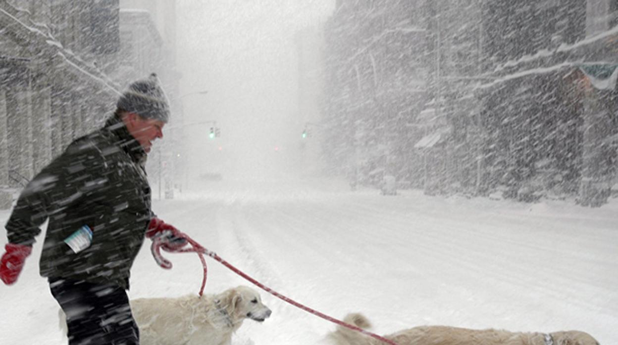 ¿Sabía que en invierno también nuestros perros no se libran de pulgas y garrapatas?