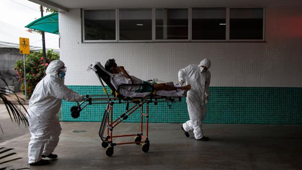 Todo lo que se sabe de la nueva variante del virus detectada en Brasil
