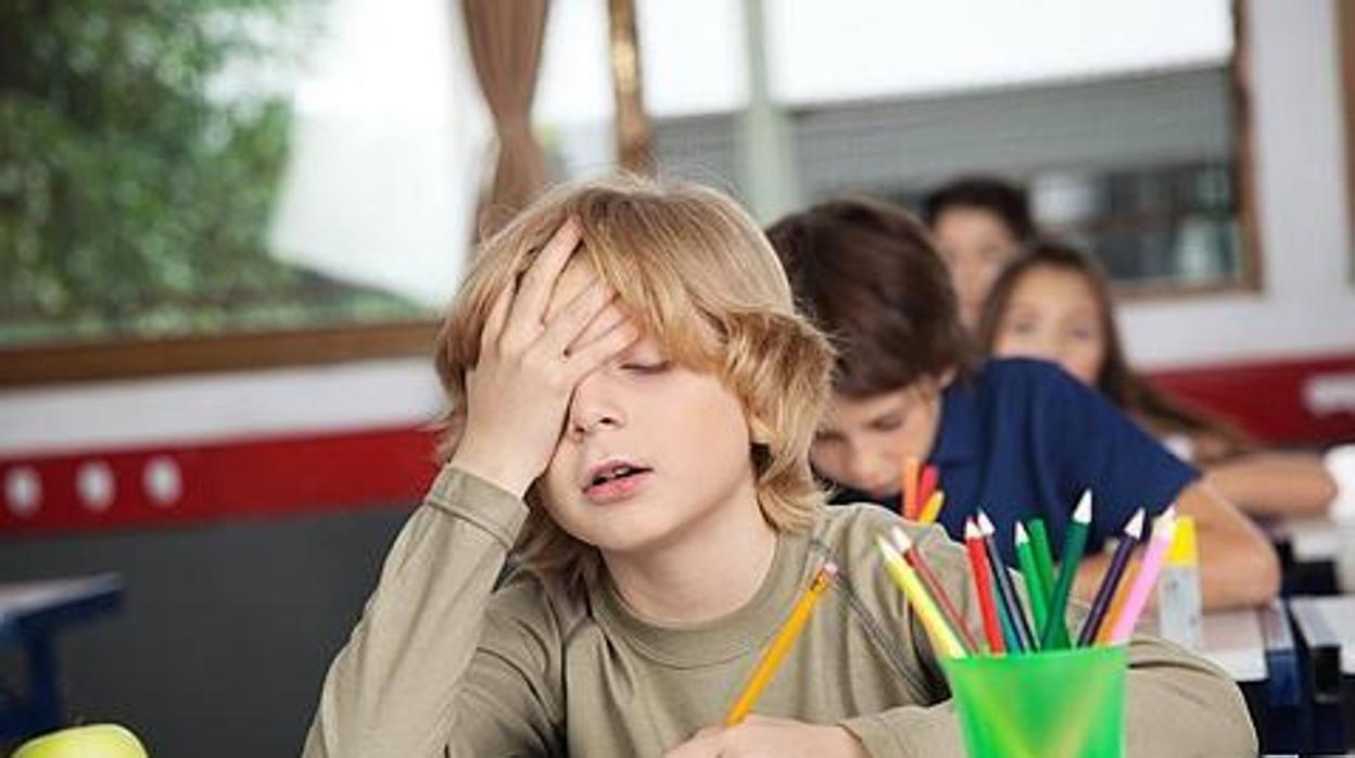 El Consejo Escolar, al servicio de Celaá: dice que la caída del rendimiento en la pandemia es un «prejuicio»