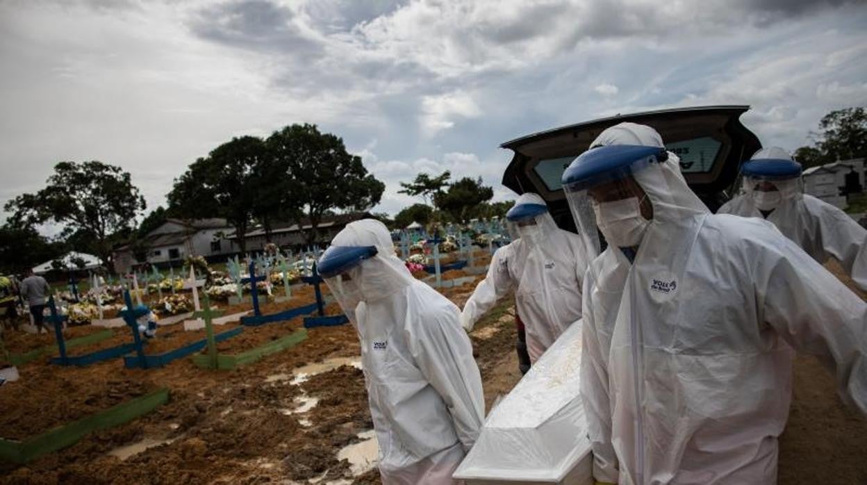 Alerta en Brasil por la extensión de la variante genética detectada en el corazón del Amazonas