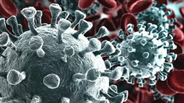 Qué se sabe de la cepa californiana de coronavirus encontrada en España apodada 'El Demonio'