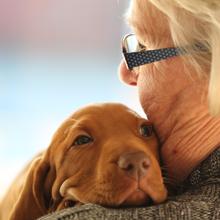 Las mascotas ayudan a reducir el aumento del 22% del estrés derivado de la pandemia