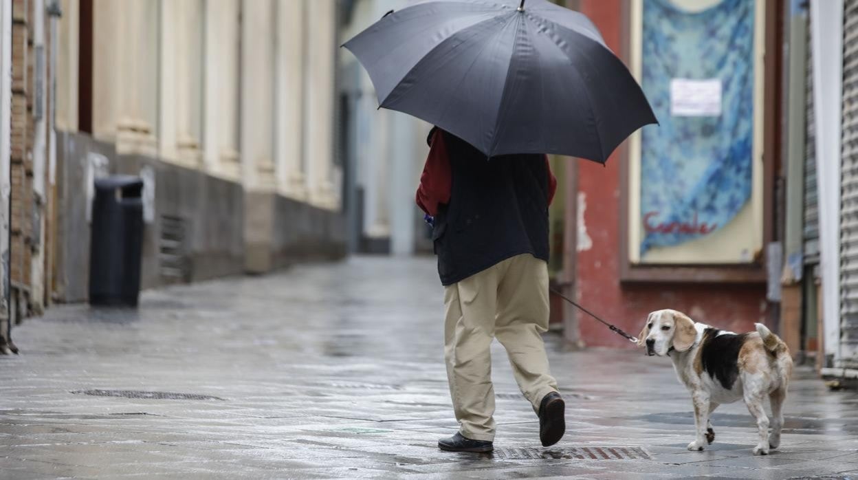 Sevilla con lluvia