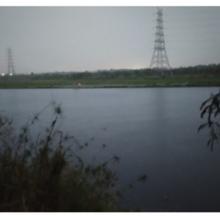 En el río Yamuna en Delhi se esparcen las cenizas de los difuntos