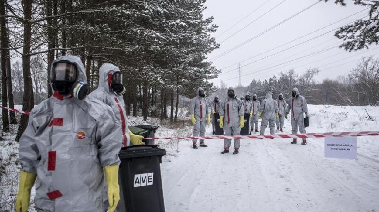 El virus pasó a los a humanos en una granja de pollos en Astrakhan (Rusia)