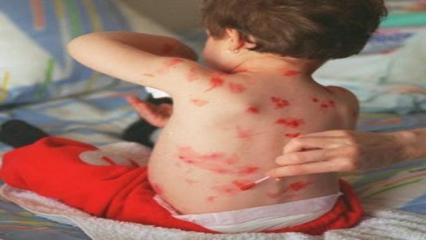 Últimas noticias de sociedad hoy sábado, 12 de junio del 2021