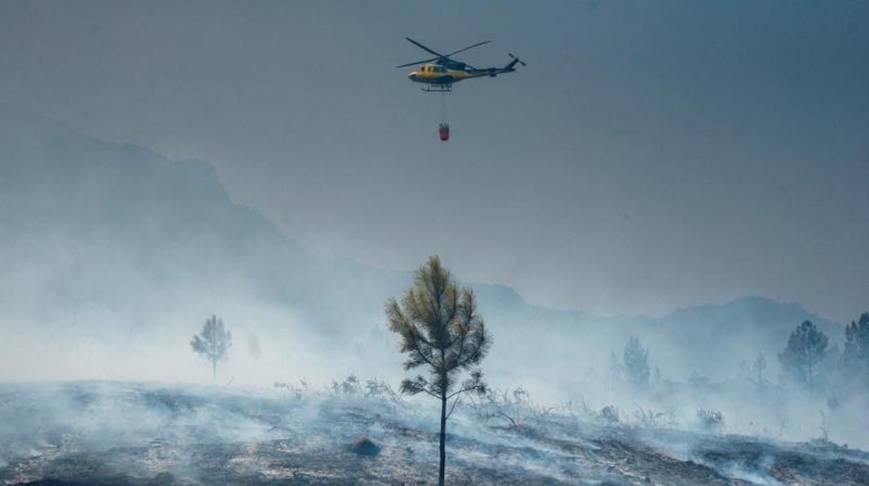 El pirómano de última generación que siembra la alarma en Portugal