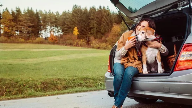 Seis consejos para viajar en coche compartido con tu perro este verano