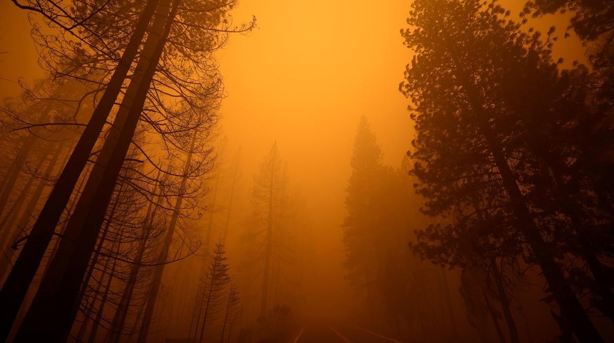 Cinco desaparecidos en el mayor incendio forestal de la historia de Estados Unidos