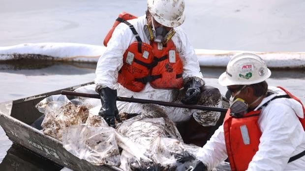 Investigan si el ancla de un barco golpeó la tubería que desencadenó la fuga de petróleo en California