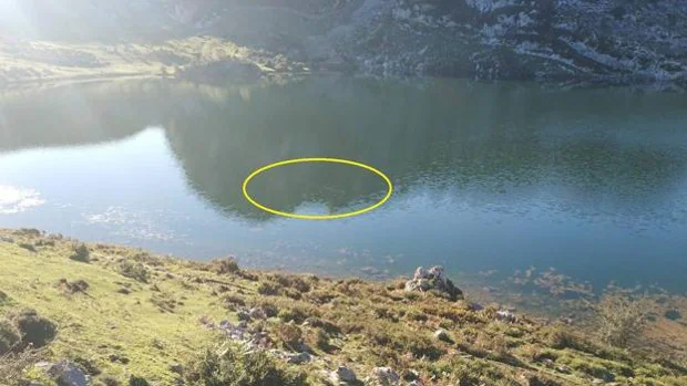 Un 'monstruo de quince metros' en el lago Enol se convierte en lo más buscado del puente en Asturias