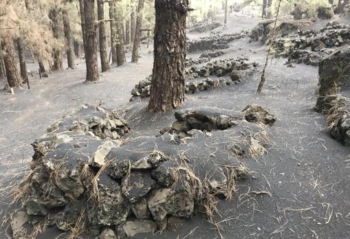 El &#039;rescate&#039; virtual del yacimiento aborigen que el volcán de La Palma amenaza con sepultar