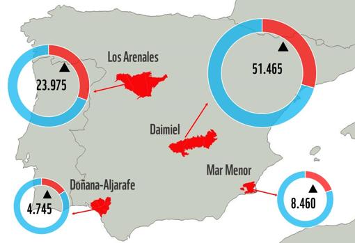 El agua robada de cuatro acuíferos de España riega el equivalente a más de 100.000 campos de fútbol