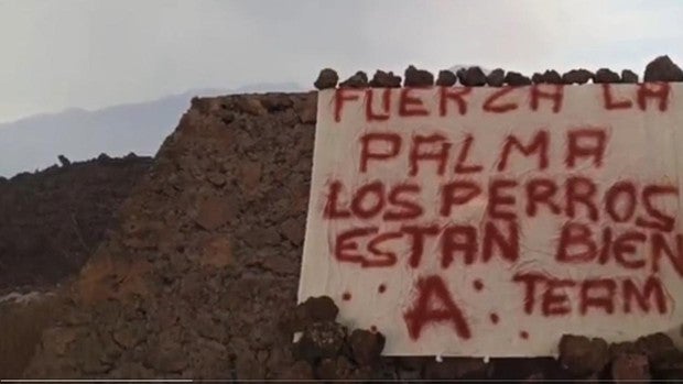 «Los perros están bien», una pancarta firmada por el 'Equipo A' confirma el rescate de los podencos de La Palma
