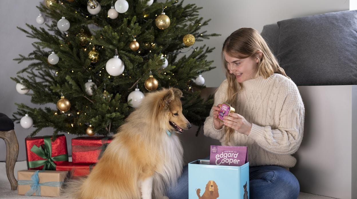 Hay muchos regalos que puedes hacerle a tu mascota por Navidad