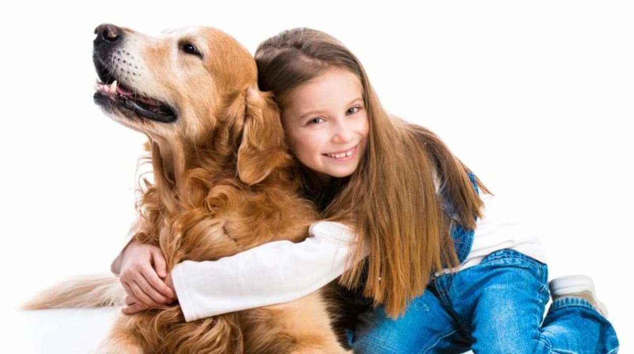 Día mundial de amar a tu mascota: cinco ideas para demostrarle tu cariño y respeto
