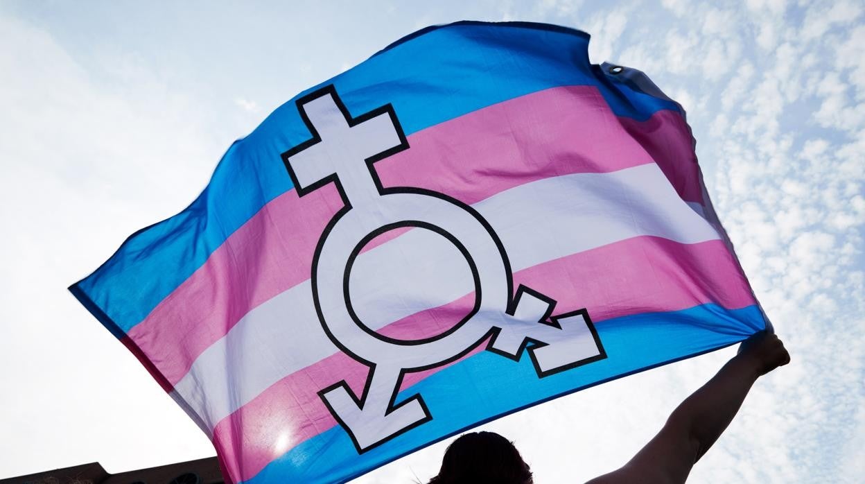 Una persona sujeta una bandera trans y género neutro durante una manifestación en Berlín (Alemania)