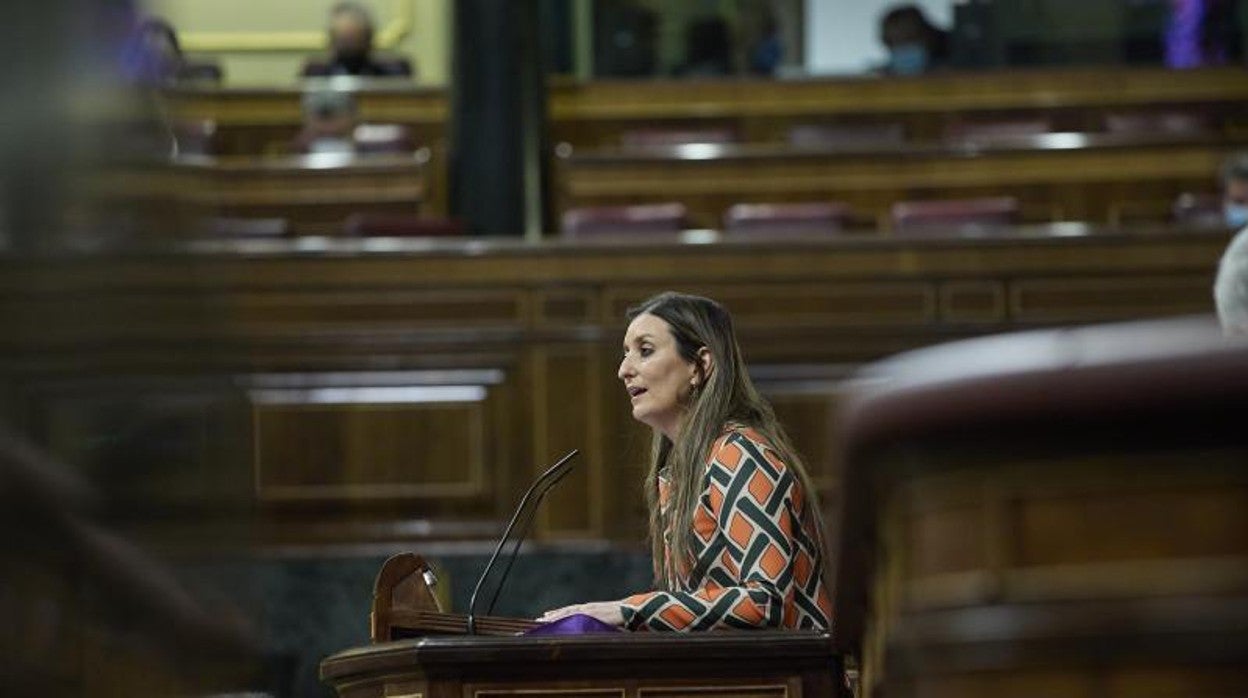 Sara Giménez en un momento de la defensa de la proposición