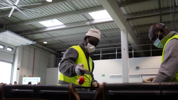 Mascarilla en interiores: dónde seguirá siendo obligatoria y en qué lugares no habrá que llevarla