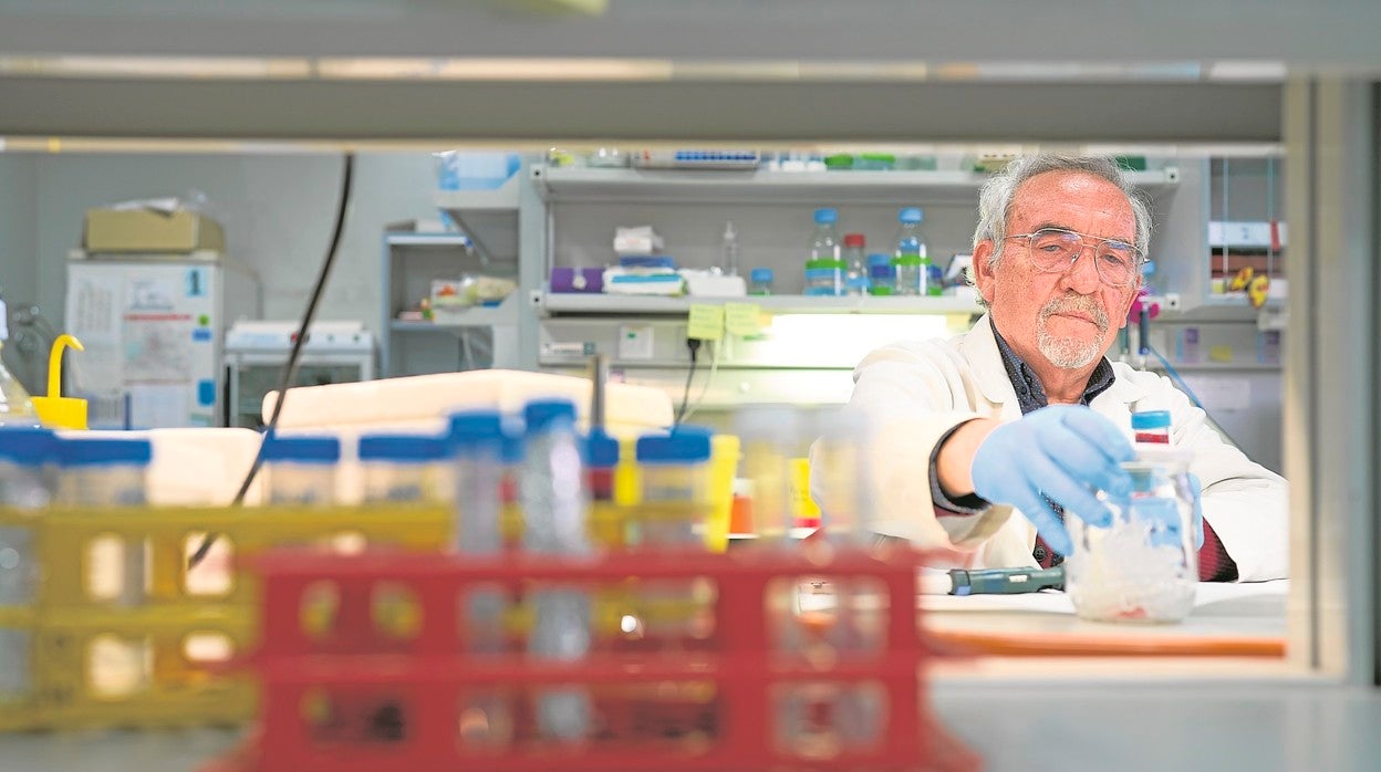El científico Jesús del Mazo, en el laboratorio del Centro de Investigaciones Biológicas Margarita Salas
