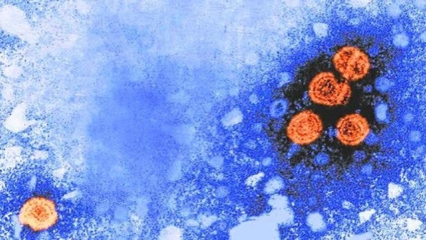 España investiga ya 22 casos de hepatitis de origen desconocido en niños