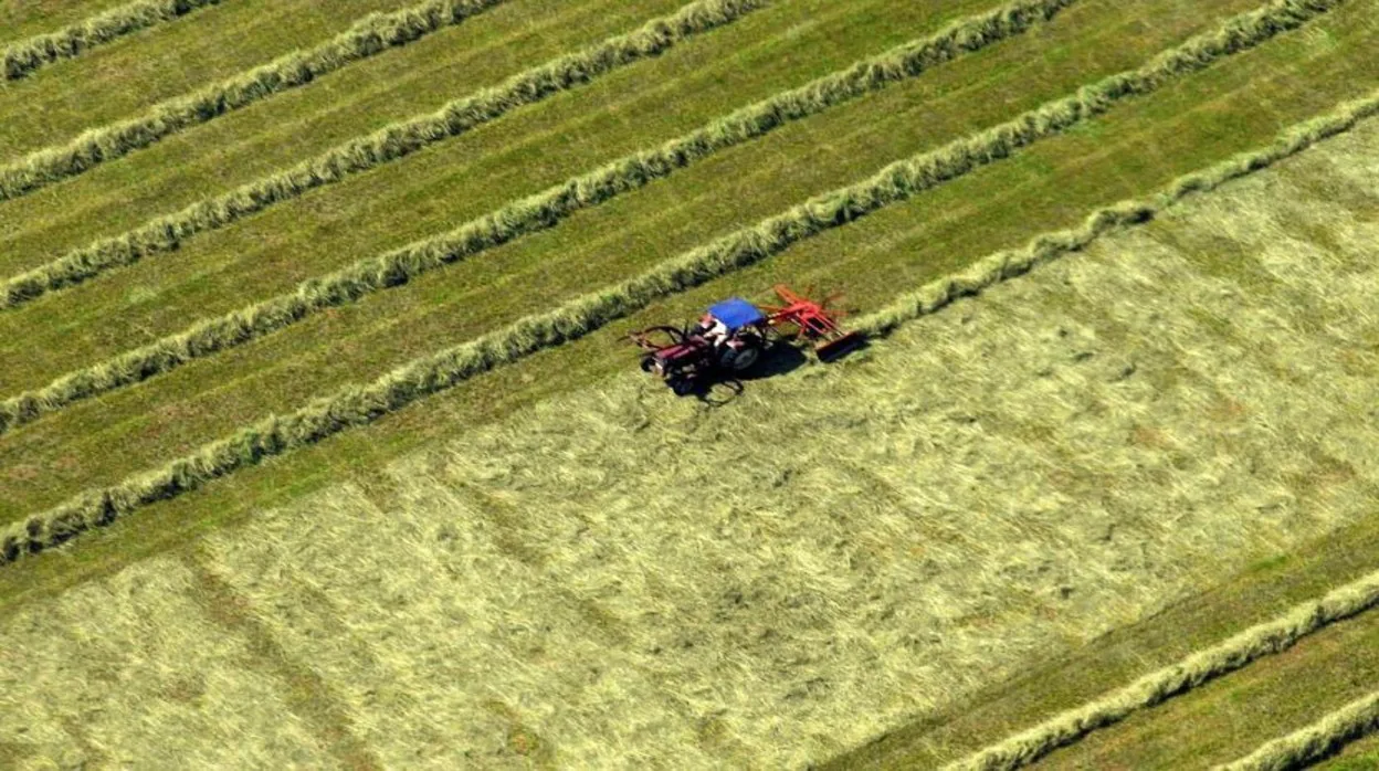 Un agricultor cerca de Landsberg en Baviera cosechando su terreno de cultivo