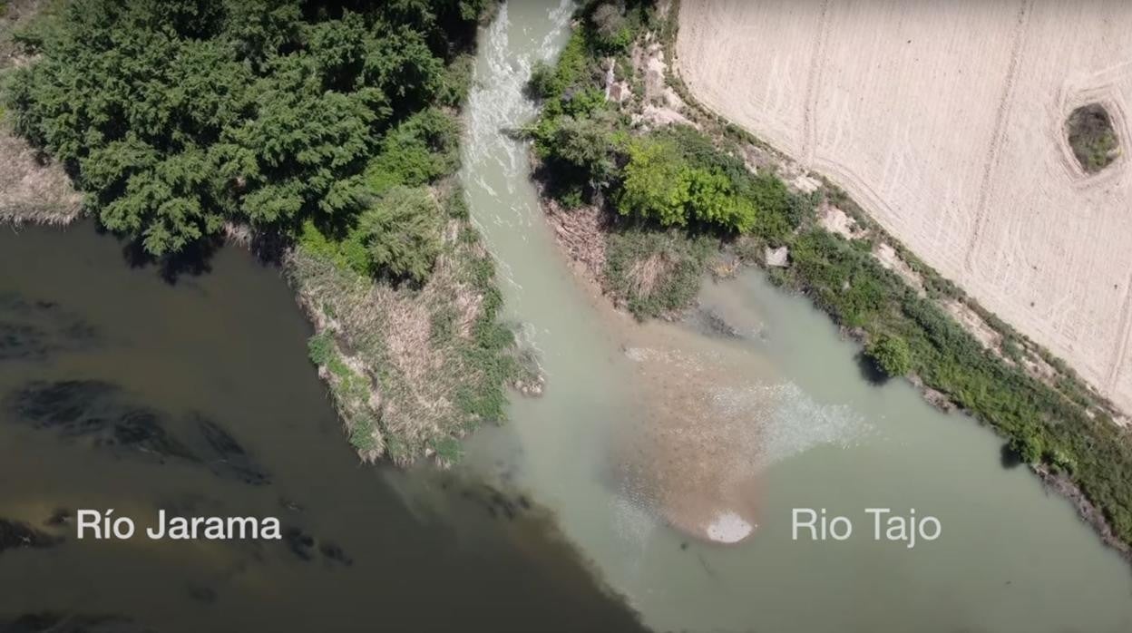 La confluecia entre el río Tajo y el Jarama a su paso por Aranjuez da muestra del estado del río