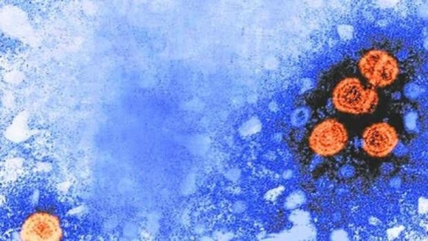 España suma 26 casos de la hepatitis aguda de origen desconocido en niños, según la OMS