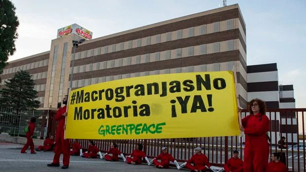 Greenpeace bloquea el acceso  a la sede de El Pozo en Murcia para denunciar  sus macrogranjas