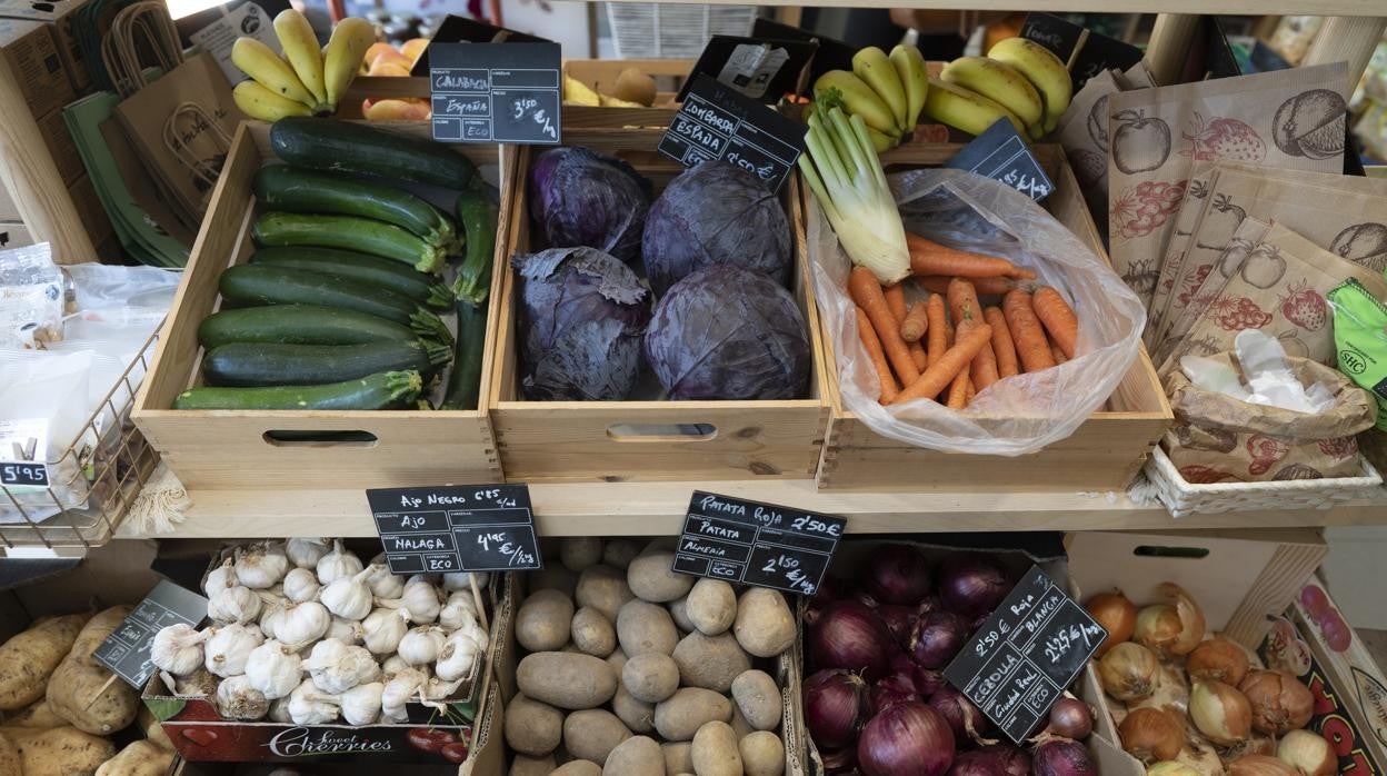 Verduras y hortalizas ecológicas