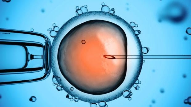 Bebés con 'tres padres': ¿Y si pudiera evitar la enfermedad de su hijo antes de nacer?