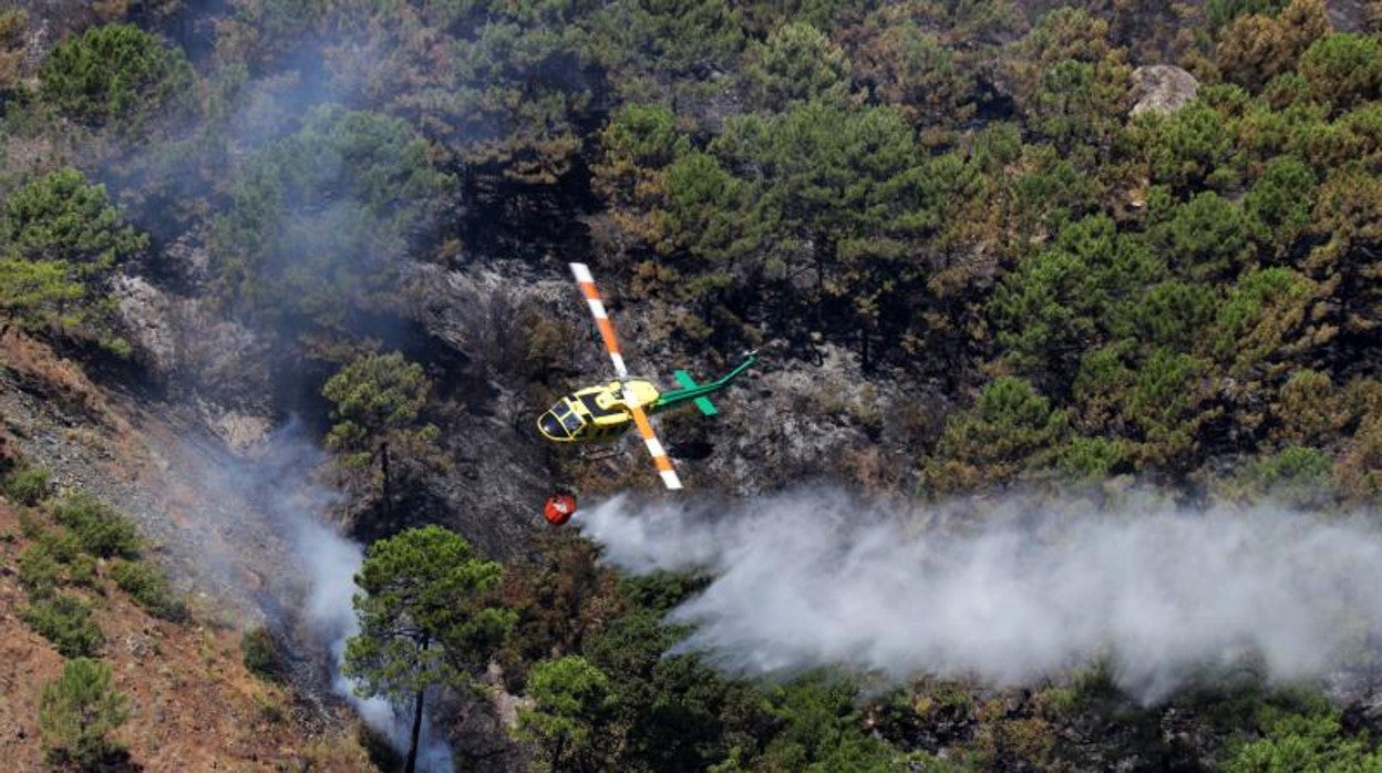 Labores de refresco en un incendio hace pocos días