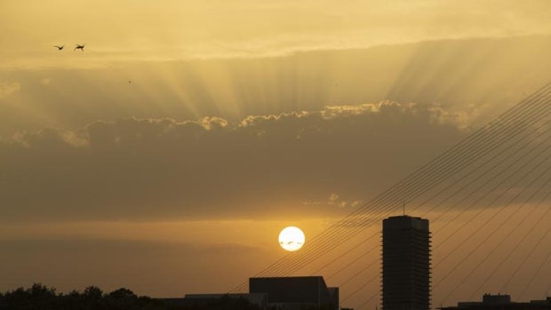 Ola de calor: avisos en 39 provincias y más de 40 grados en una docena de ellas