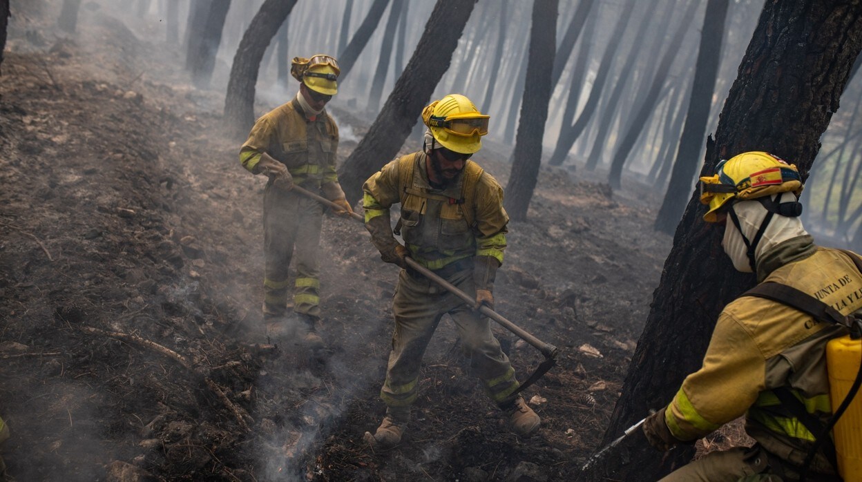 Zamora lucha contra un fuego descontrolado en la Sierra de la Culebra