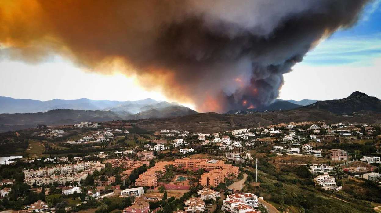 Un buitre leonado que colisionó contra un tendido acabó en un fuego que arrasó 700 hectáreas en Alburquerque (Badajoz), en 2021