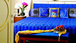 Imagen principal de la ficha