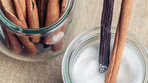 Los aztecas fueron los grandes descubridores de la vainilla