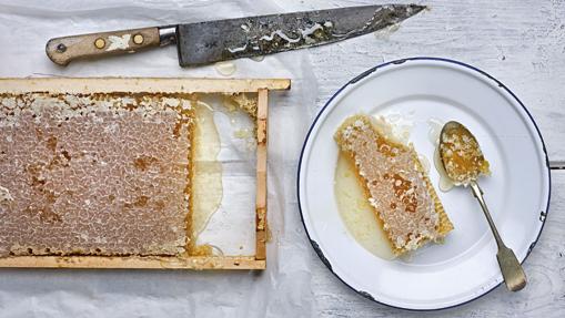 Miel directamente del panal