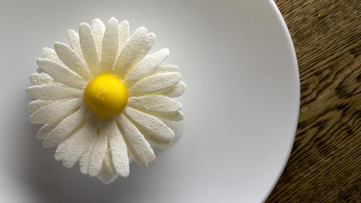 Margarita de azúcar