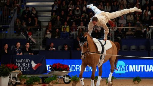 Exhibición de volteo durante ediciones anteriores