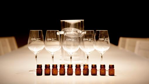 Cata sensorial en las bodegas Cepa 21