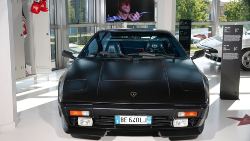 Jalpa salió en Rocky VI