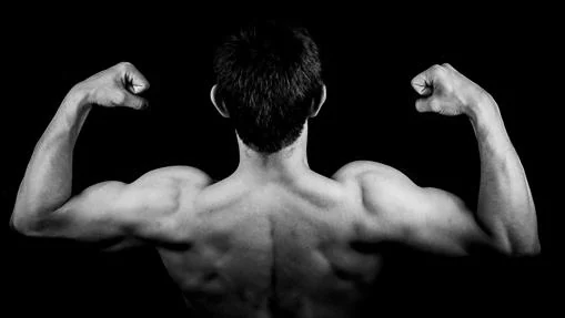 Trabajar los biceps es fundamental para aumentar volumen