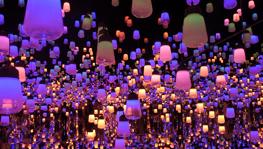 Imagen principal de la ficha