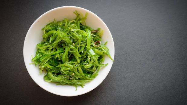 Verde mar: todo lo que debes saber sobre comer algas