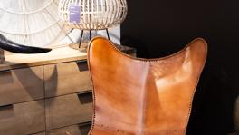 Imagen principal de la ficha