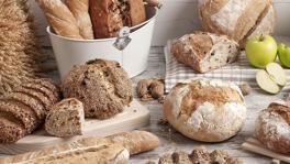 Imagen principal de la ficha